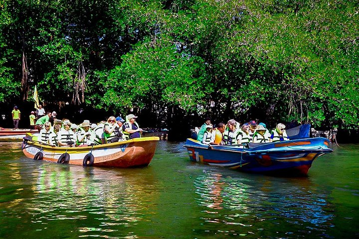 Madu River Boat Safari Balapitiya - Photo 1 of 24